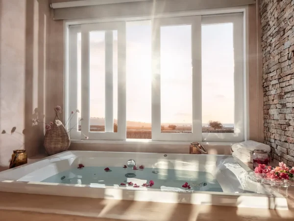 garden jacuzzi suite (2)