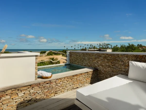 rooftop pool suite (4)